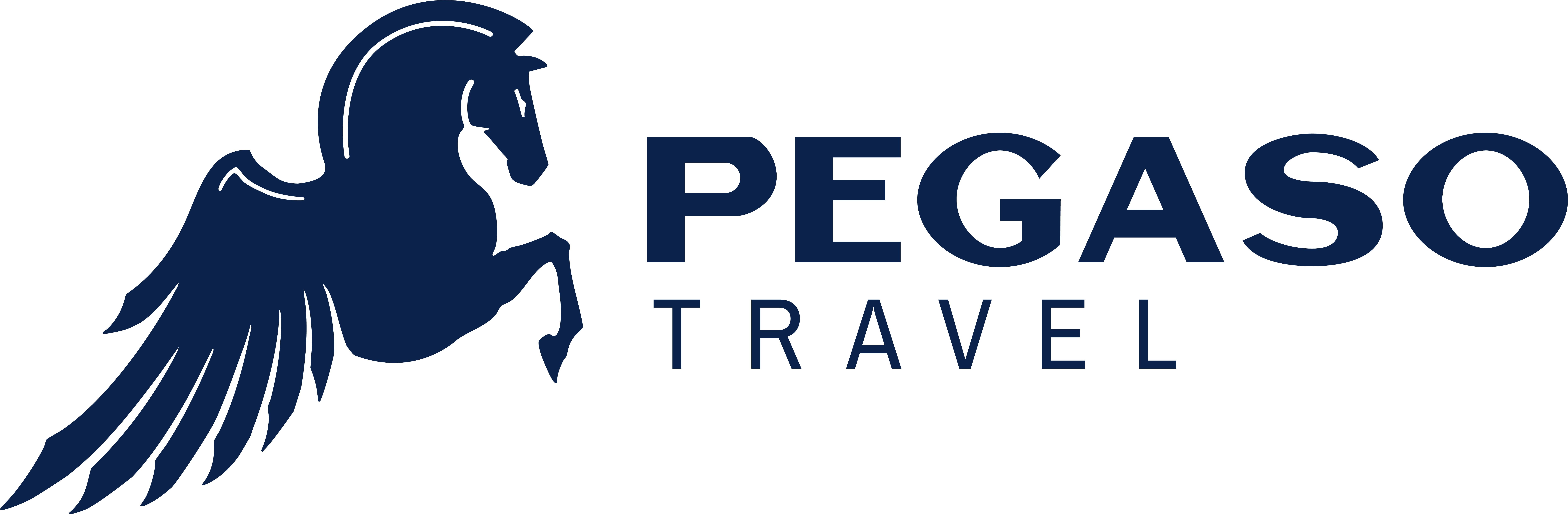 Pegaso Travel